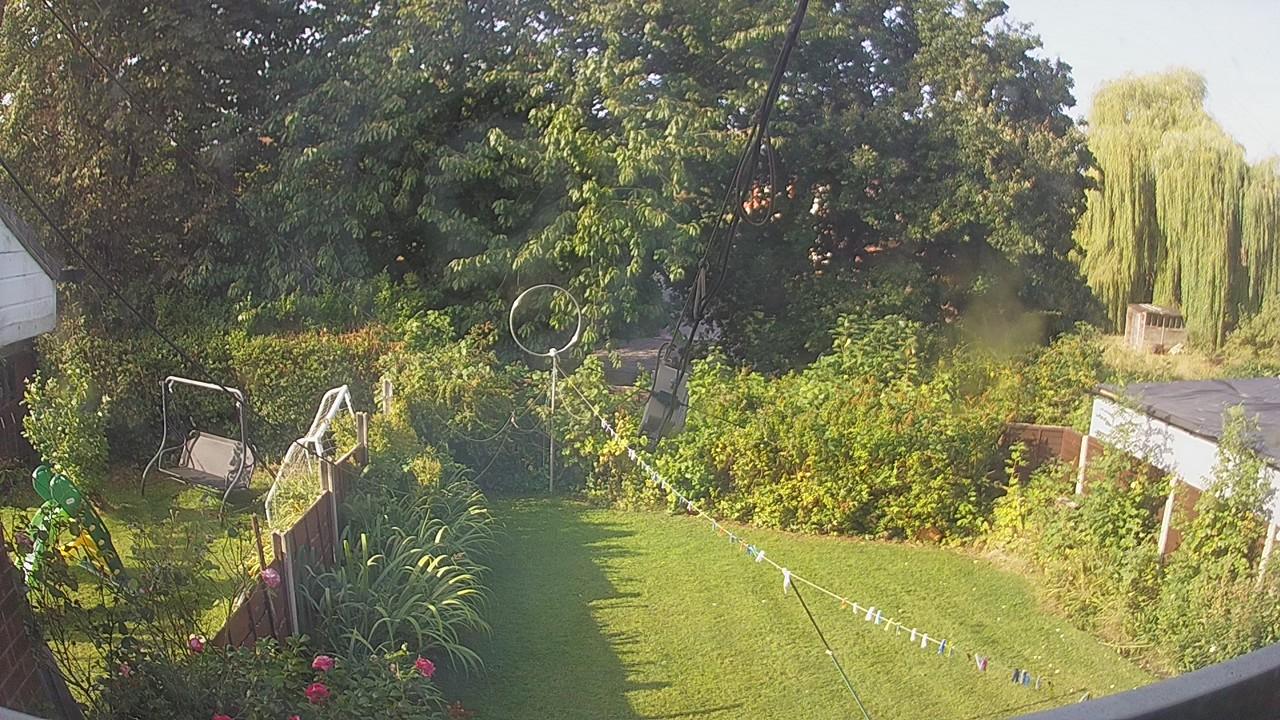 20260823_081627_cam1.jpg