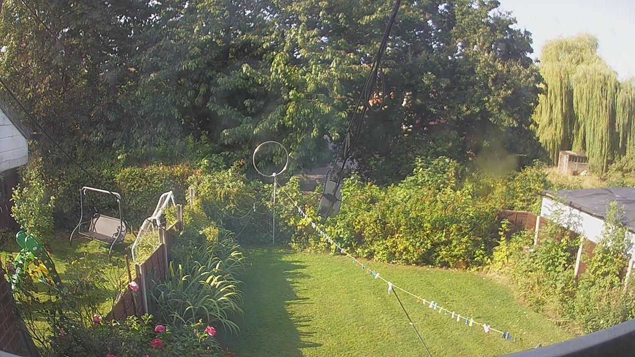 20260823_082947_cam1.jpg