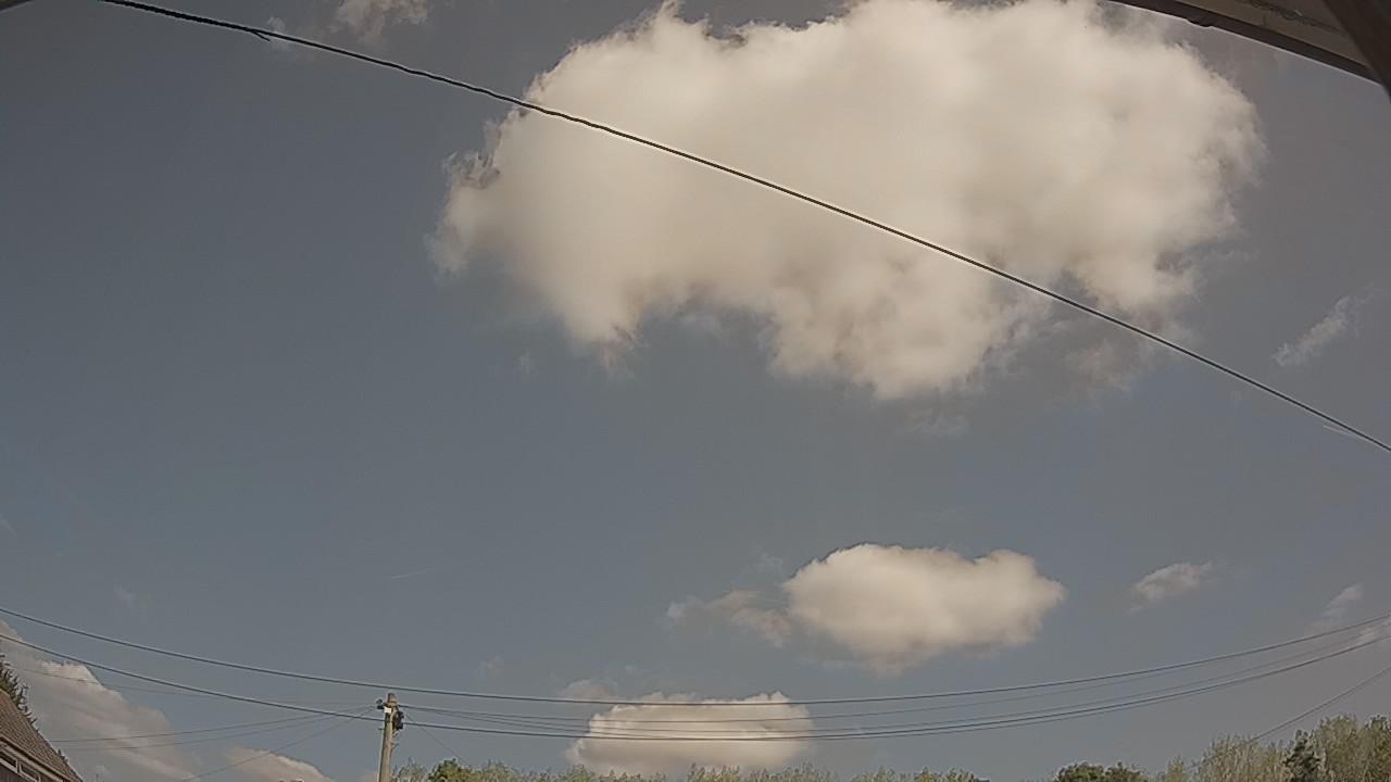 20260823_113038_cam2.jpg