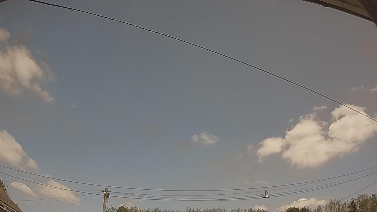 20260823_115251_cam2.jpg