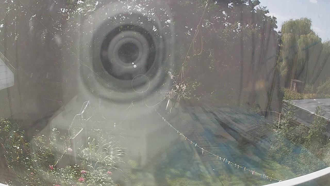 20260823_124705_cam1.jpg