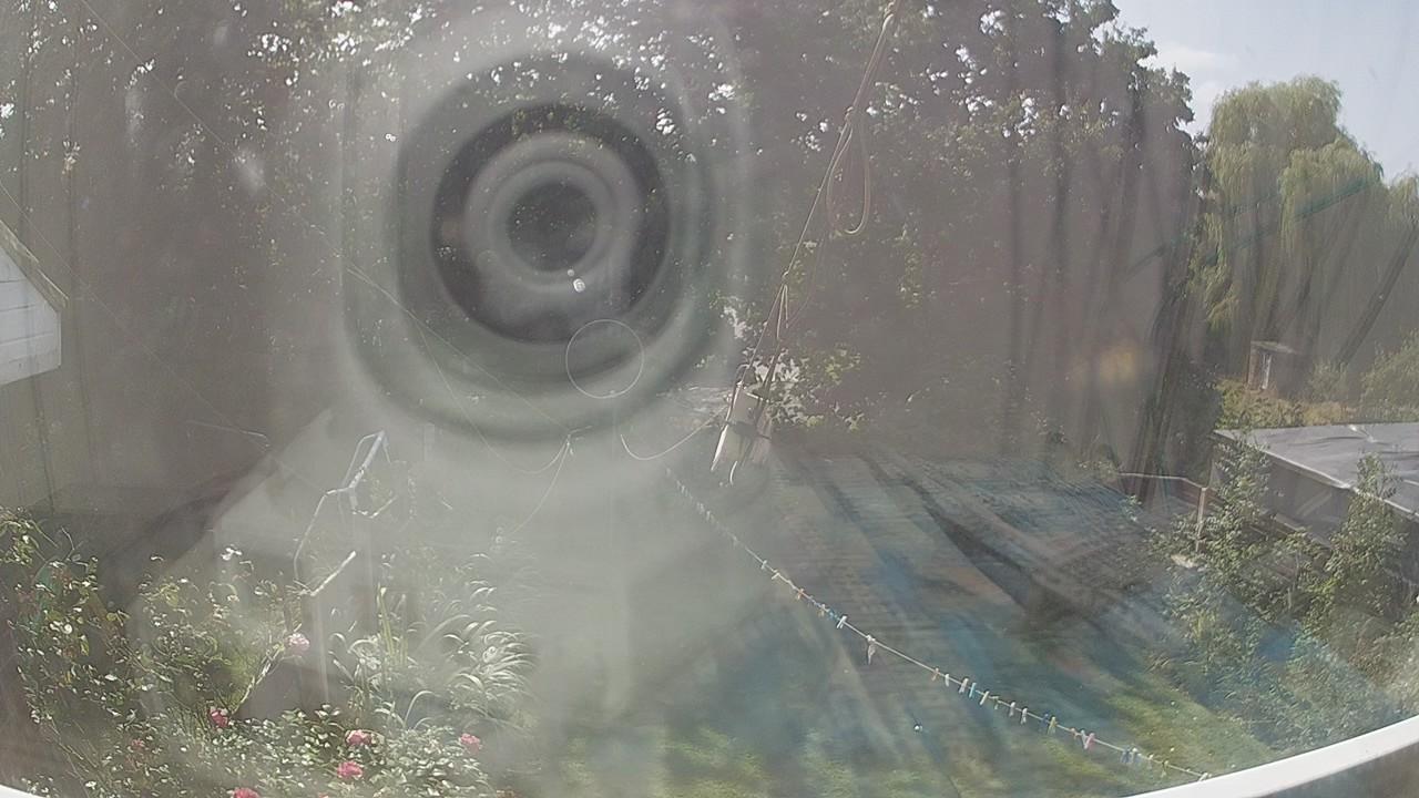 20260823_125559_cam1.jpg