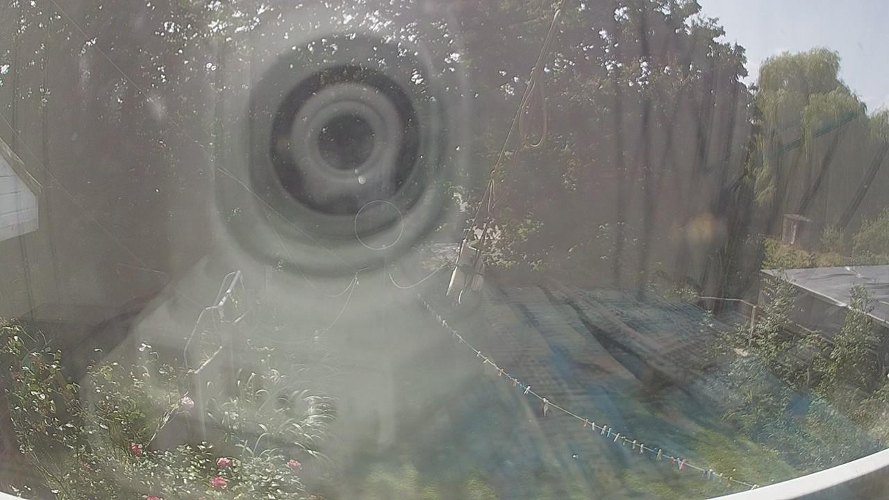20260823_130454_cam1.jpg