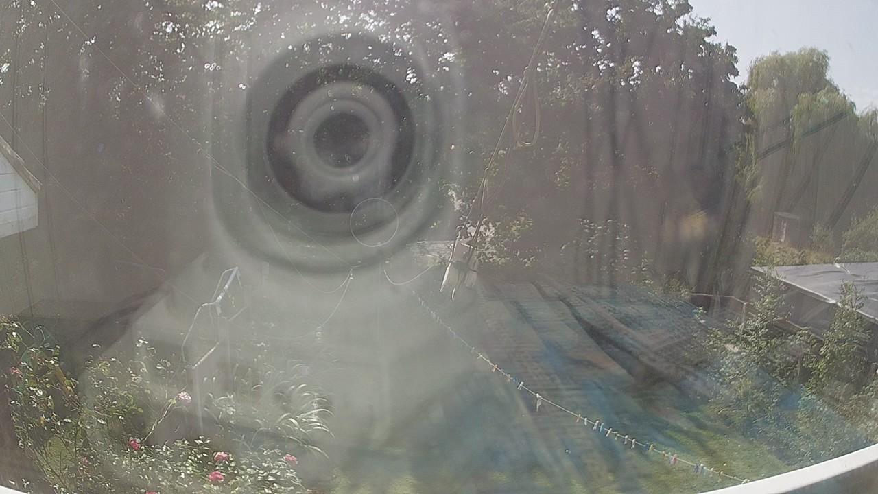 20260823_131816_cam1.jpg