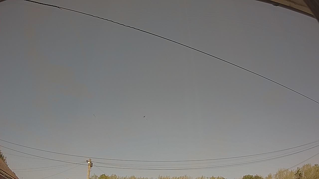 20260823_140305_cam2.jpg
