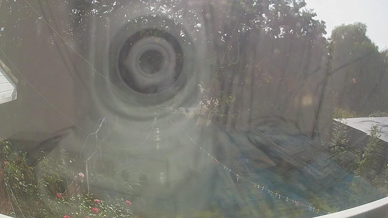20260823_145231_cam1.jpg
