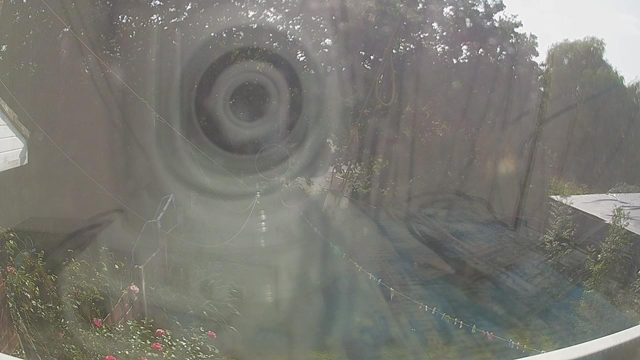 20260823_145649_cam1.jpg