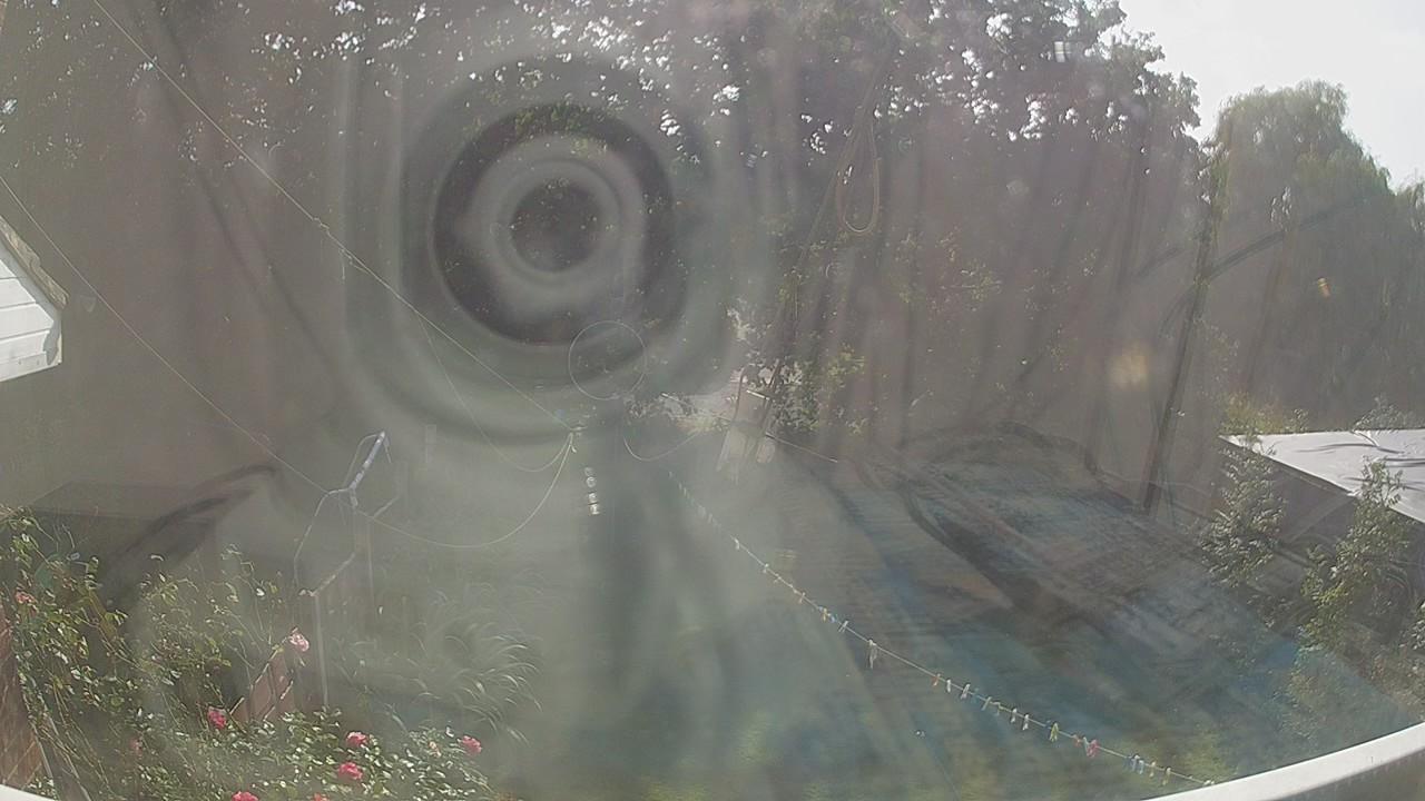 20260823_150116_cam1.jpg