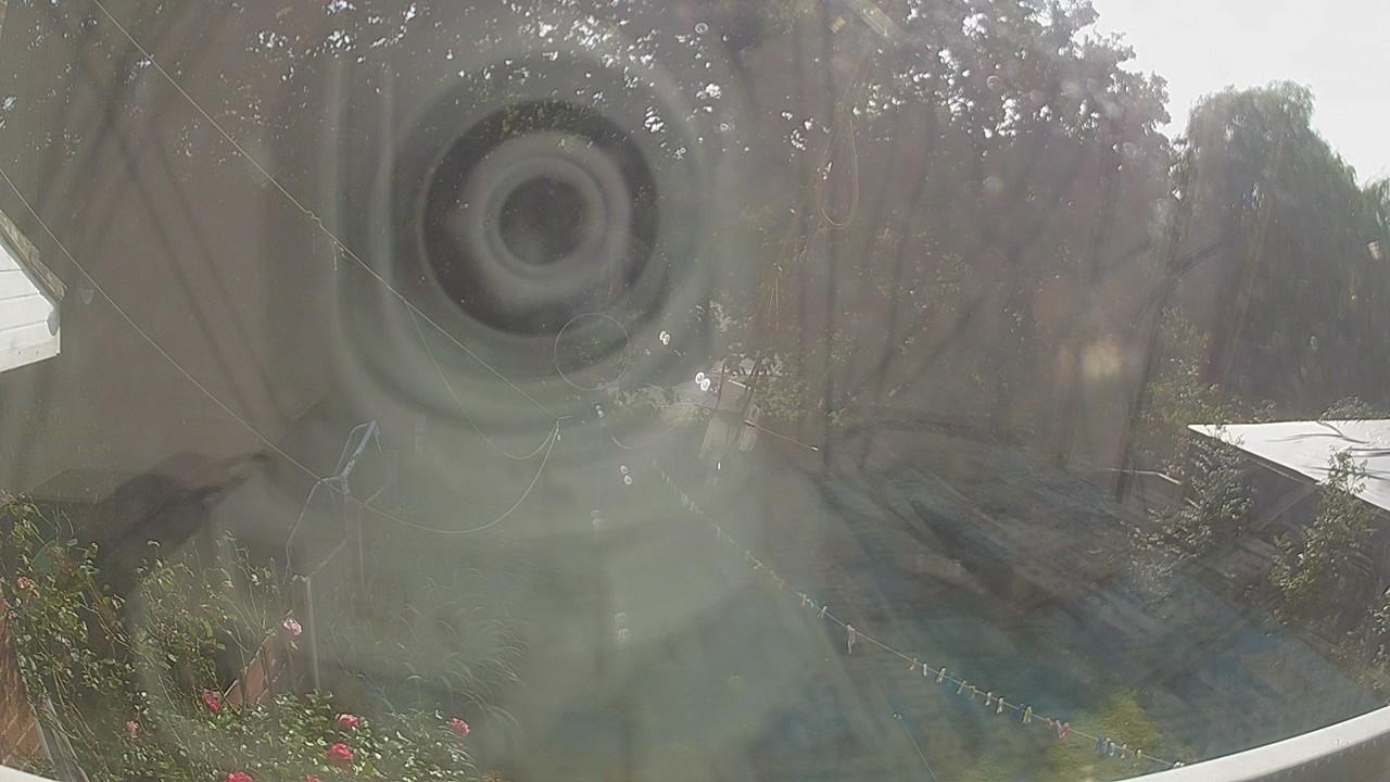 20260823_154215_cam1.jpg