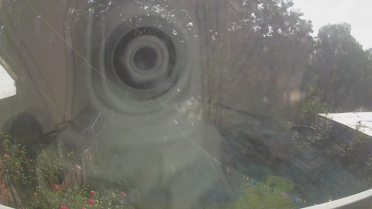 20260823_161800_cam1.jpg