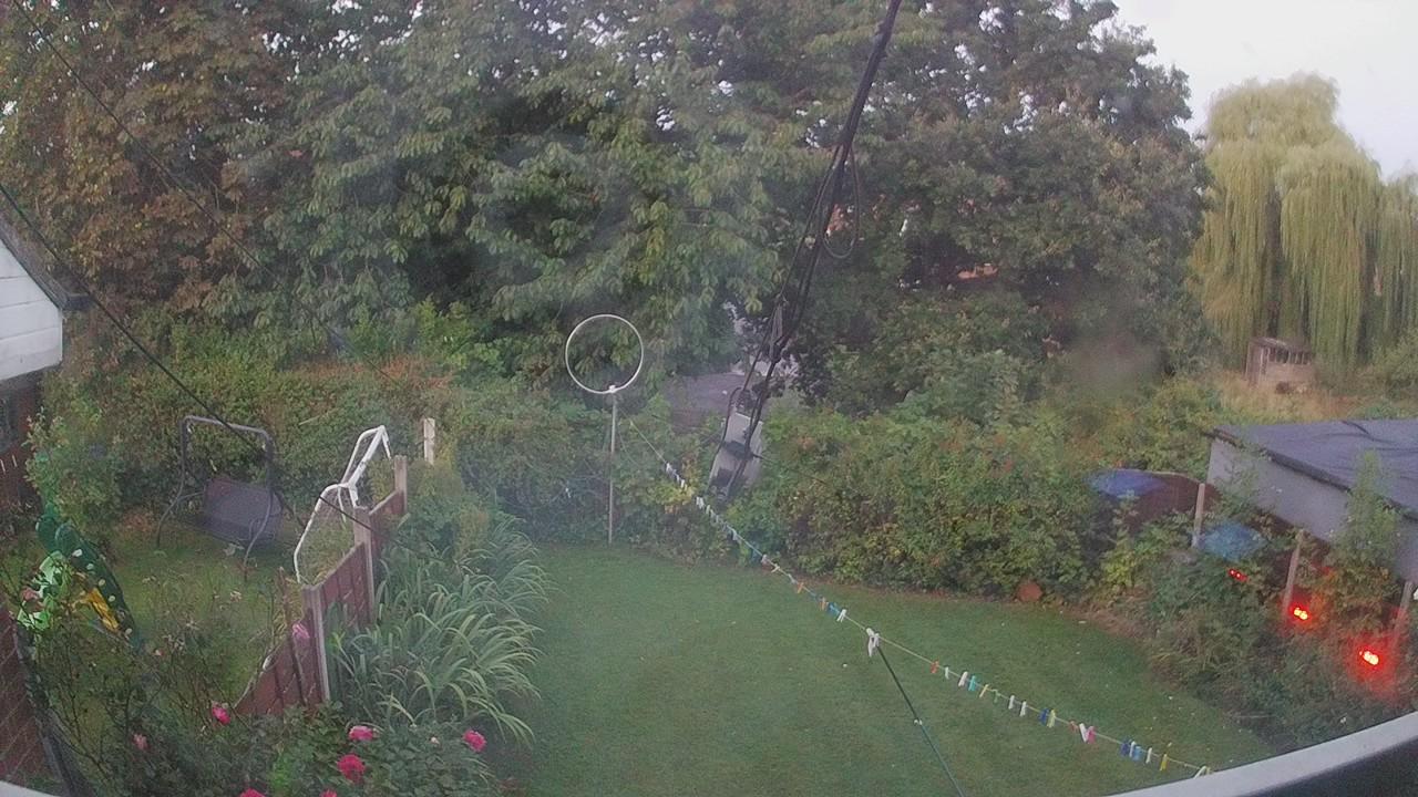 20260824_044500_cam1.jpg