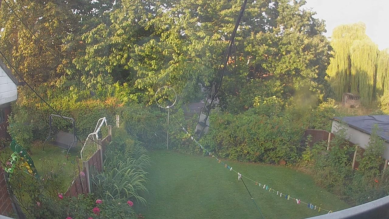 20260824_062454_cam1.jpg