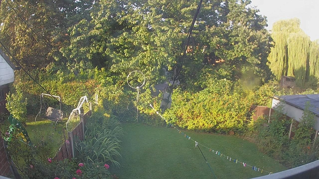 20260824_065322_cam1.jpg