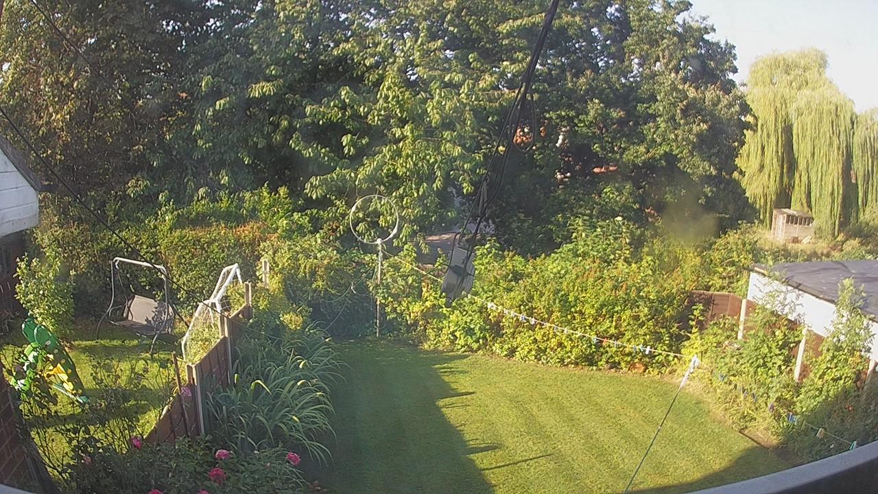 20260824_074500_cam1.jpg