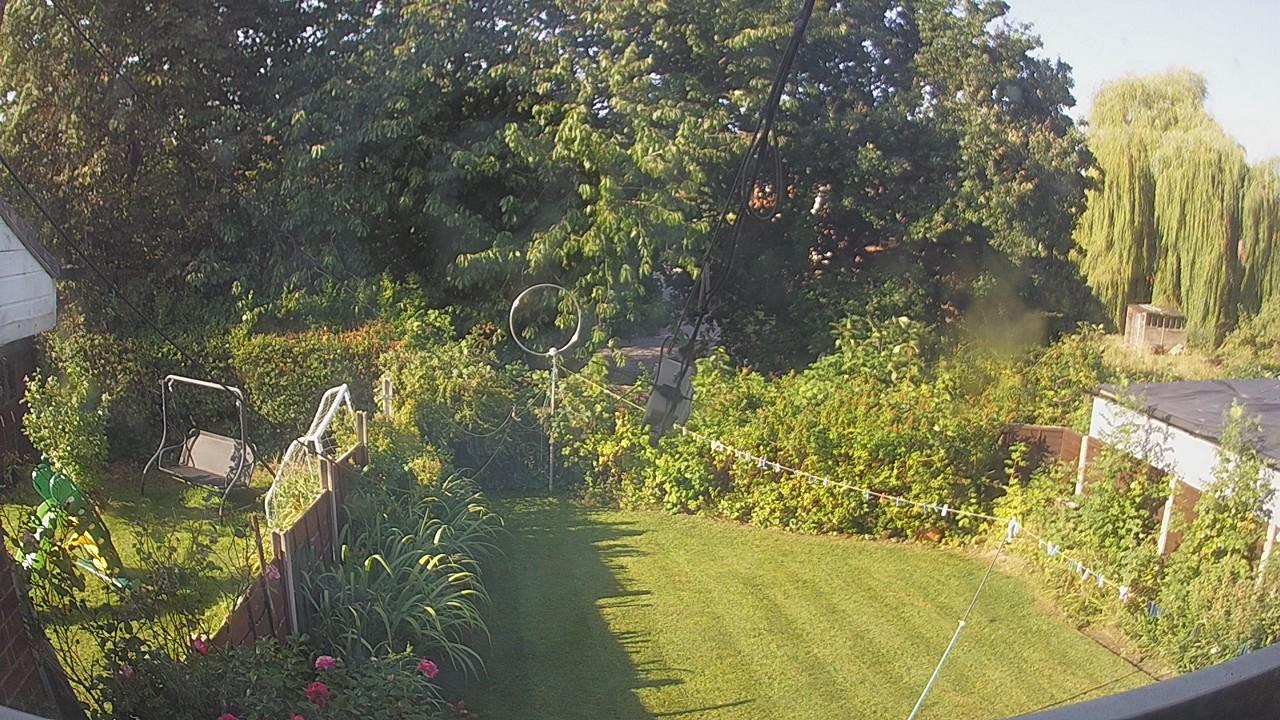 20260824_081237_cam1.jpg