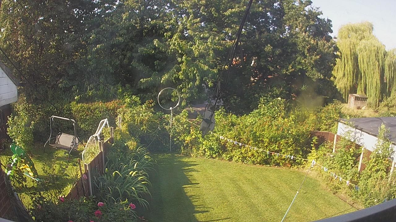 20260824_081713_cam1.jpg