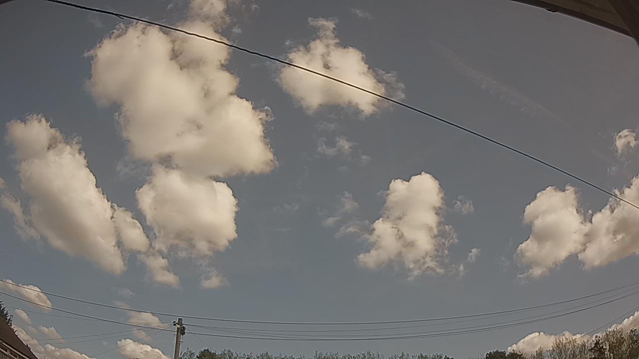 20260824_110122_cam2.jpg