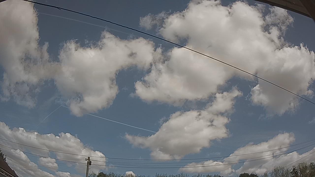 20260824_113605_cam2.jpg