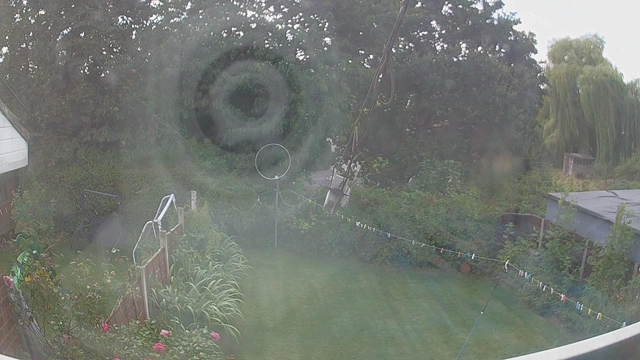 20260824_120019_cam1.jpg