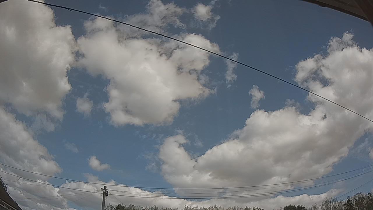 20260824_120020_cam2.jpg