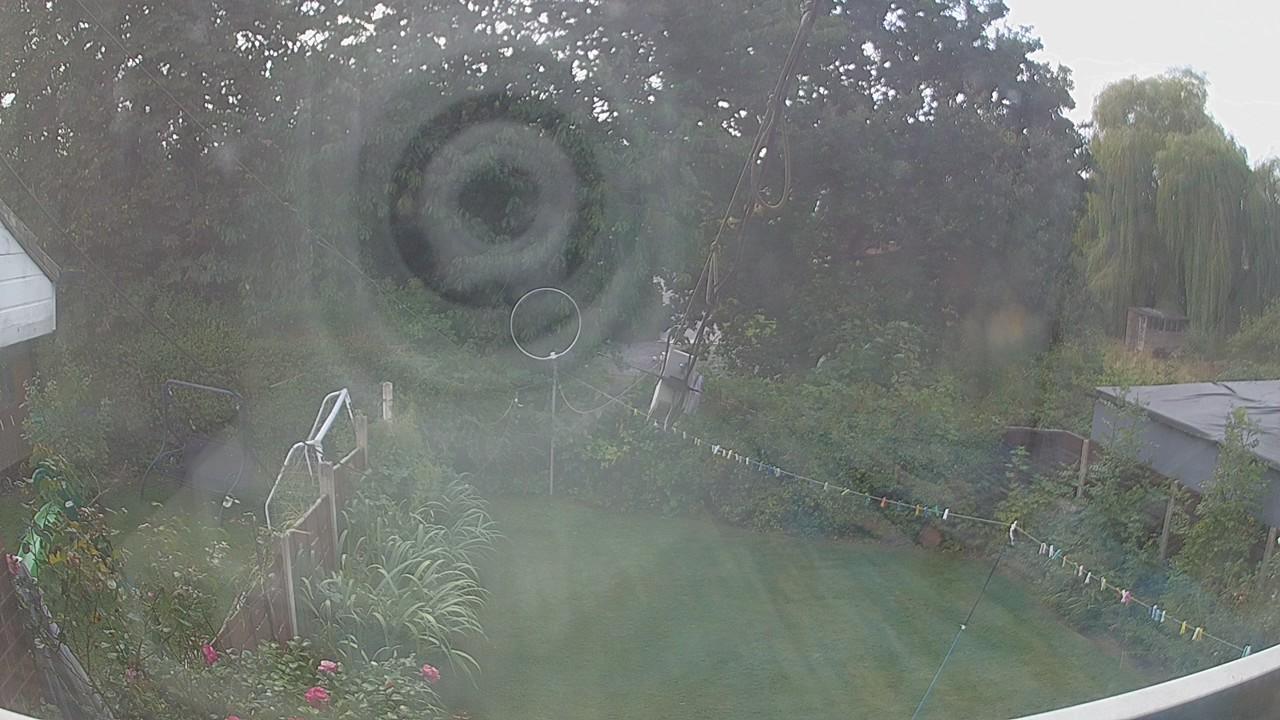 20260824_125005_cam1.jpg