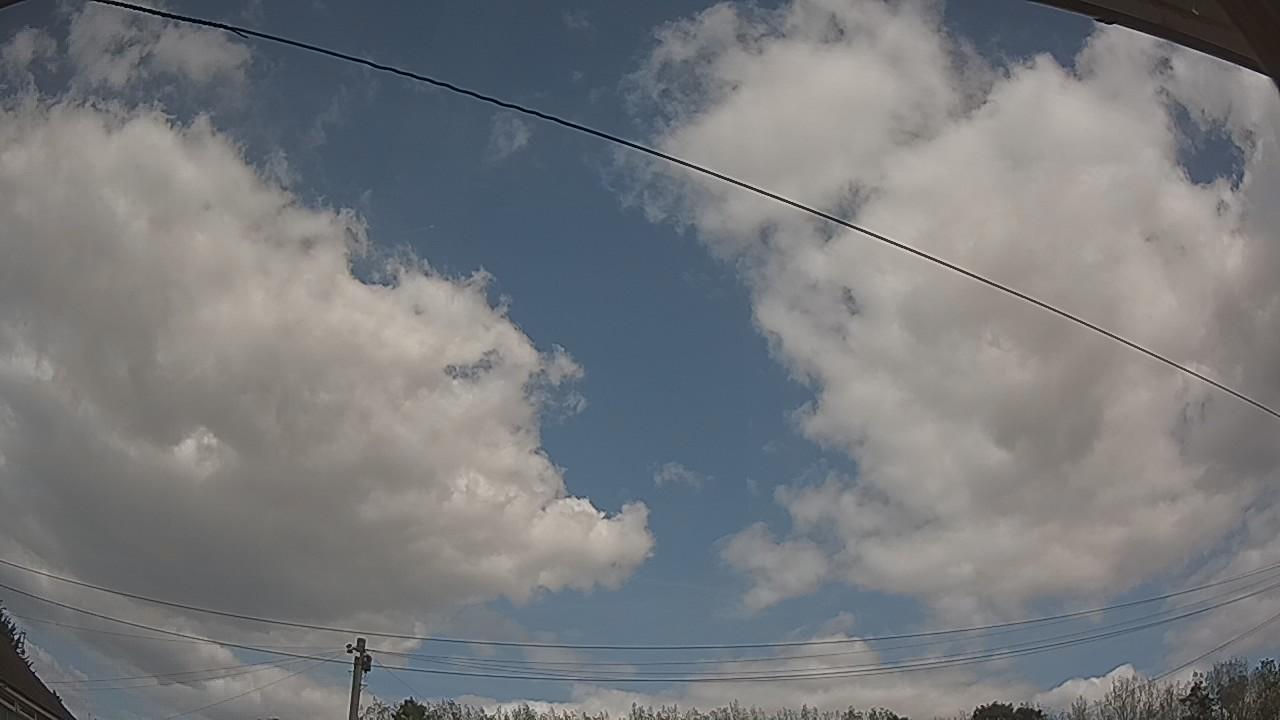 20260824_125006_cam2.jpg