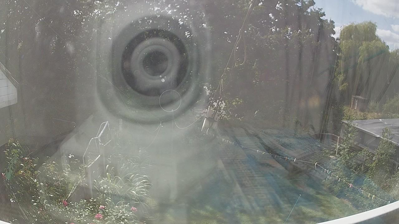20260824_125405_cam1.jpg