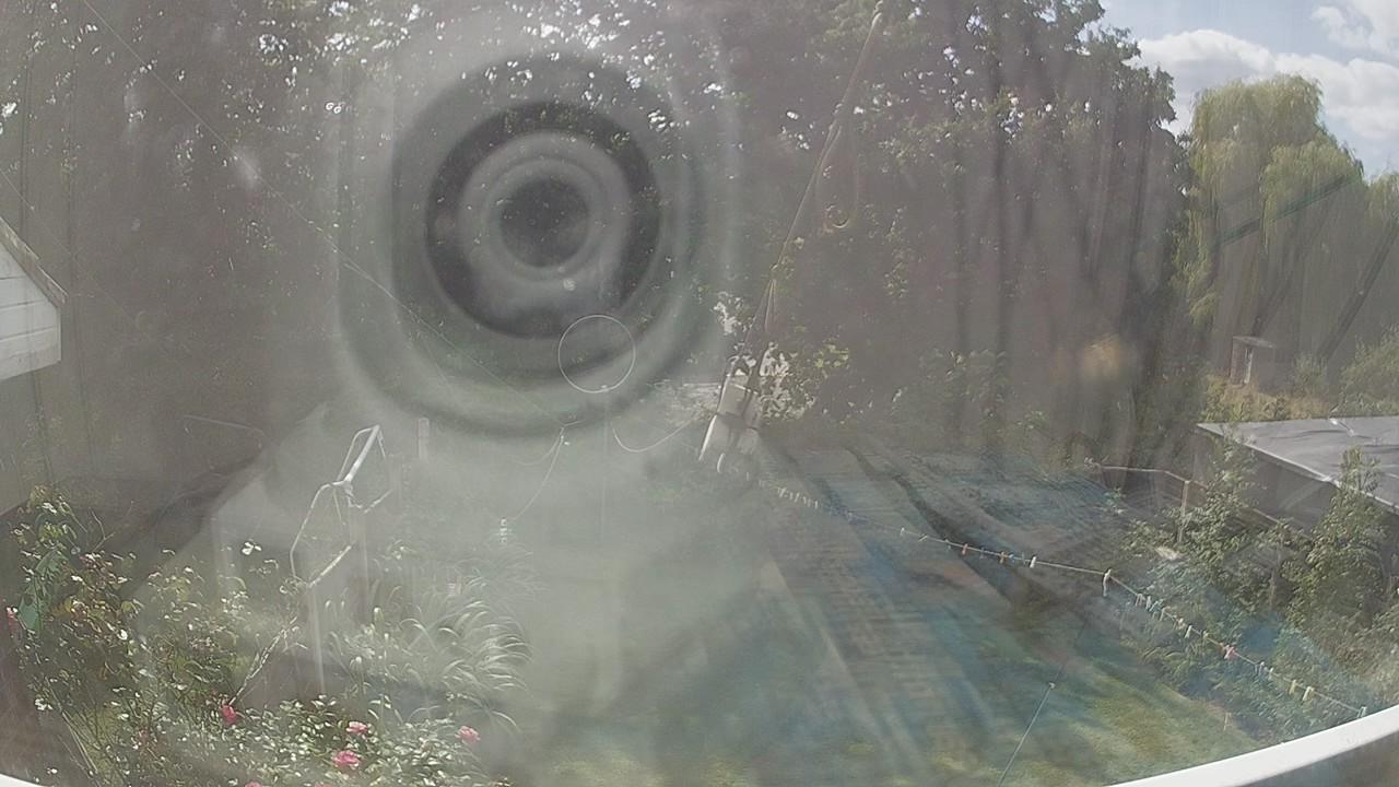 20260824_131033_cam1.jpg