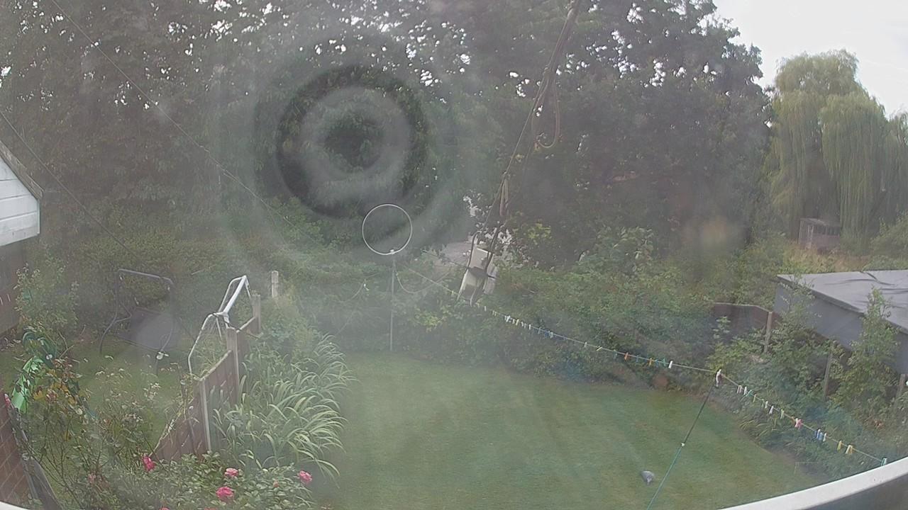 20260824_132300_cam1.jpg