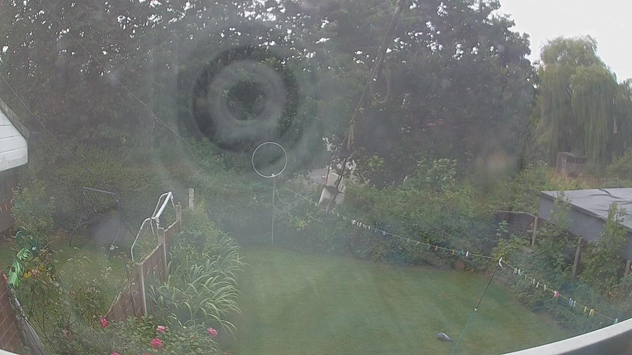 20260824_132709_cam1.jpg