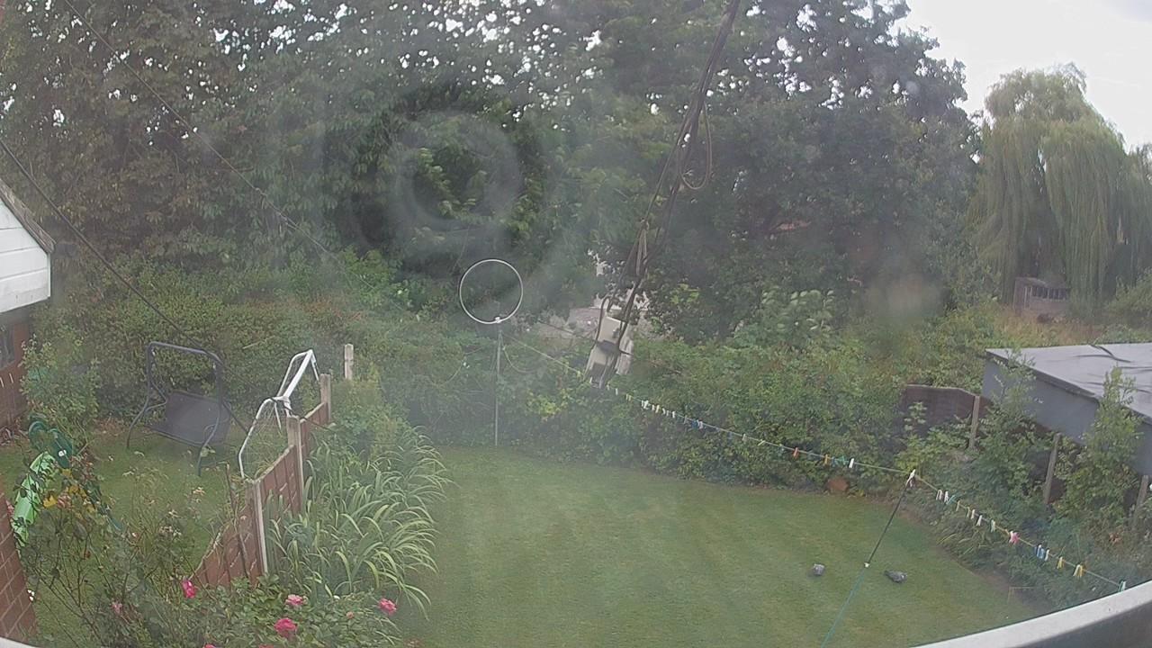 20260824_134233_cam1.jpg