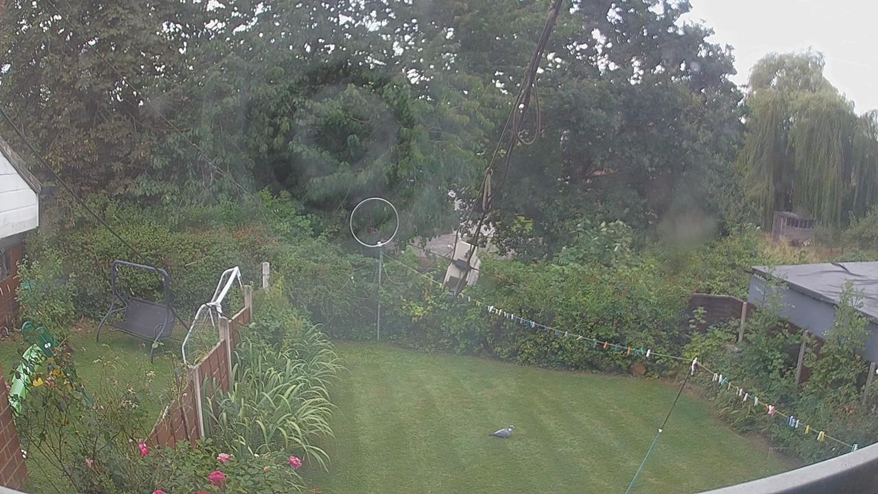20260824_134624_cam1.jpg