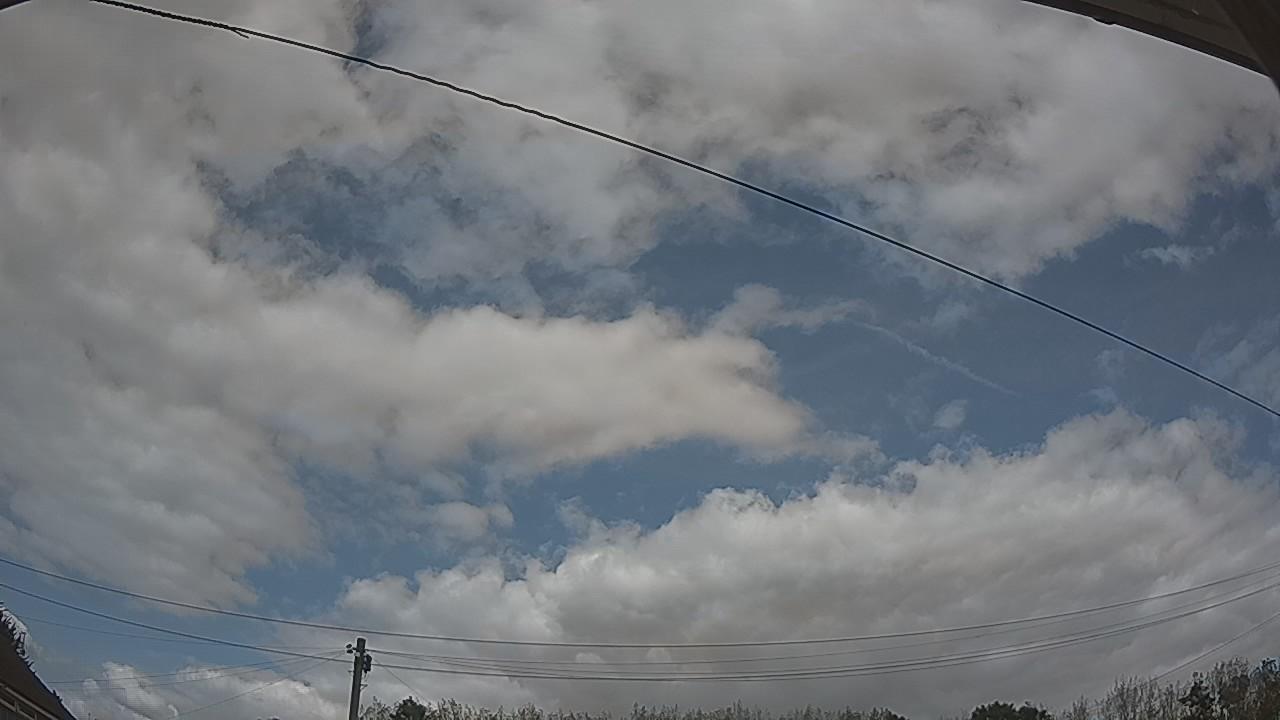20260824_134625_cam2.jpg