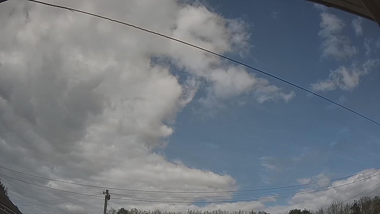 20260824_142250_cam2.jpg