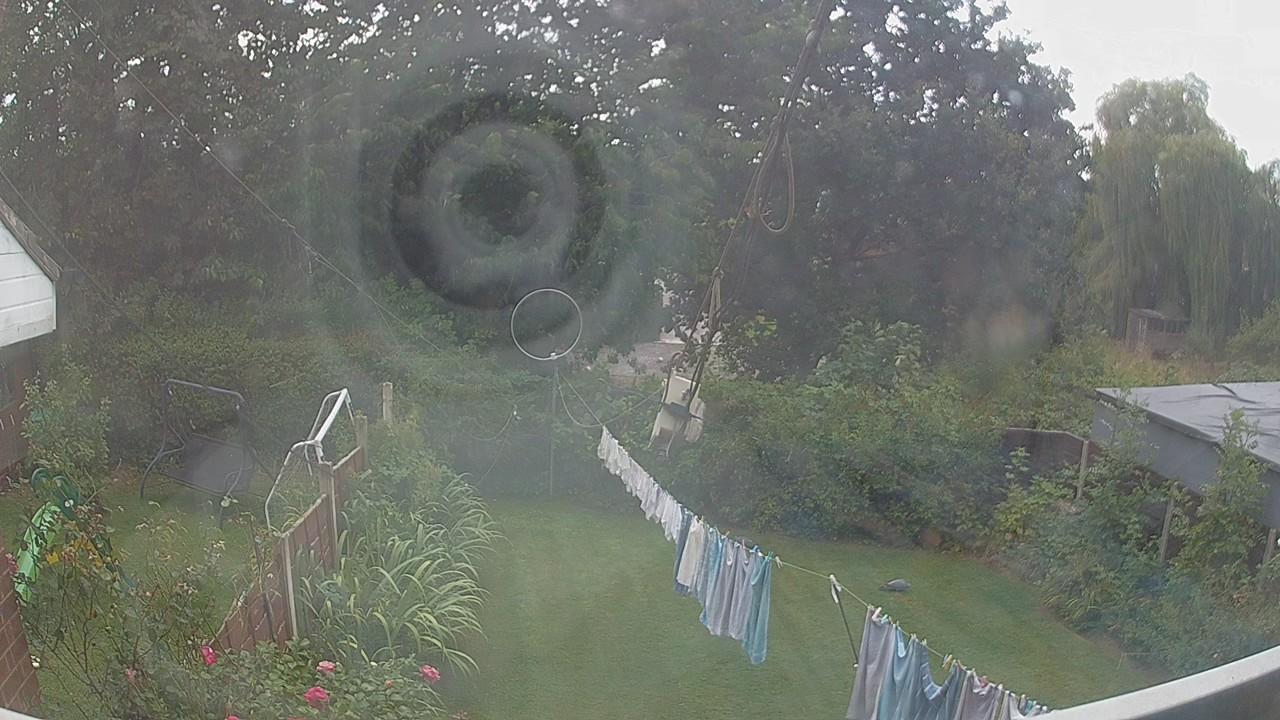 20260824_144612_cam1.jpg