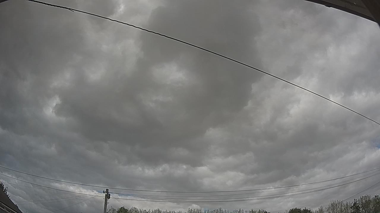 20260824_145002_cam2.jpg