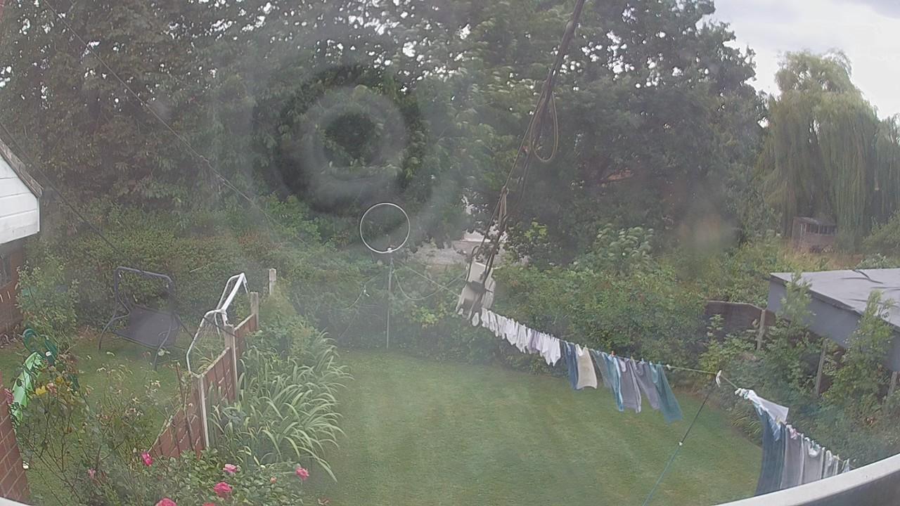 20260824_150201_cam1.jpg