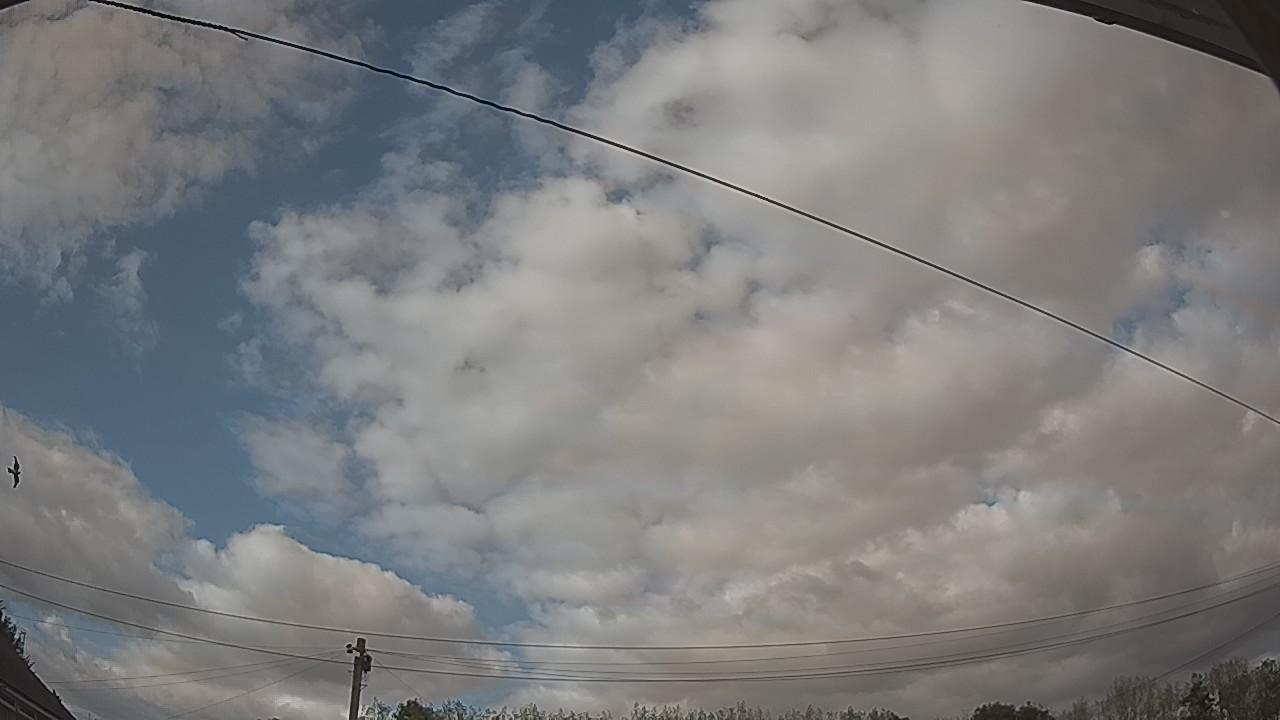 20260824_162420_cam2.jpg