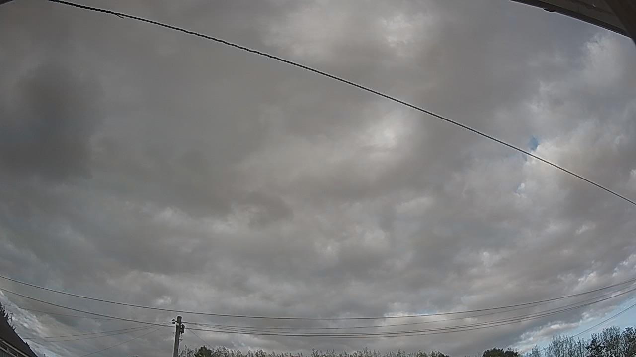 20260824_174146_cam2.jpg