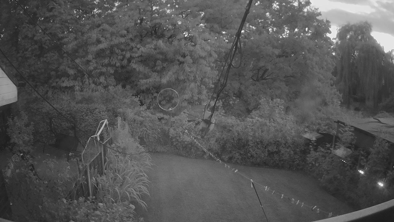 20260824_194409_cam1.jpg