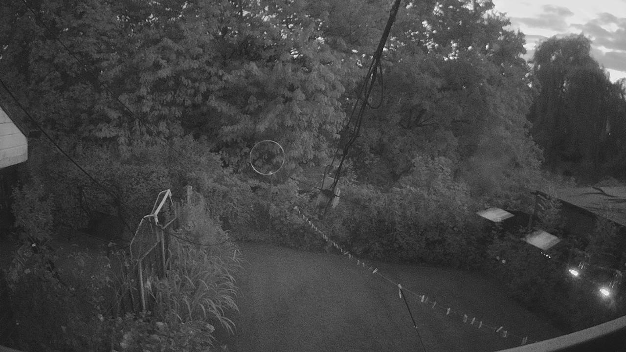 20260824_195226_cam1.jpg