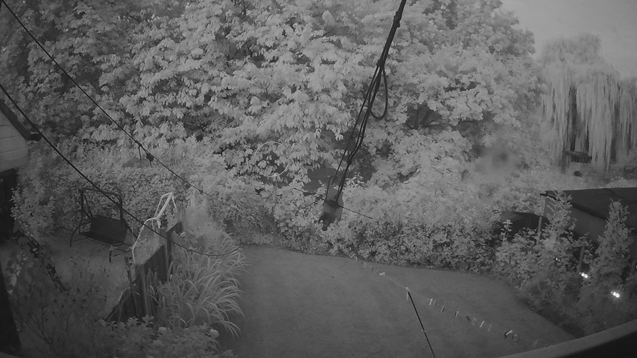 20260825_043554_cam1.jpg