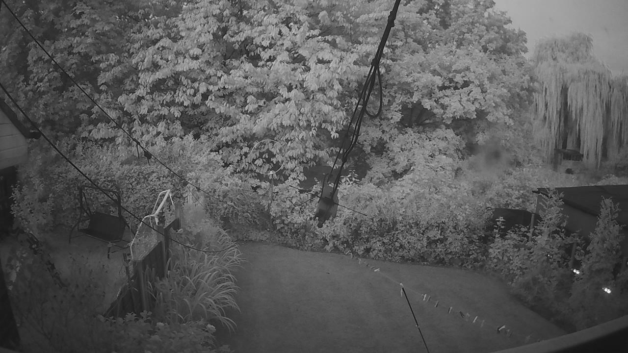20260825_044003_cam1.jpg