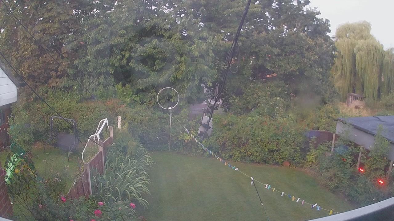20260825_045230_cam1.jpg