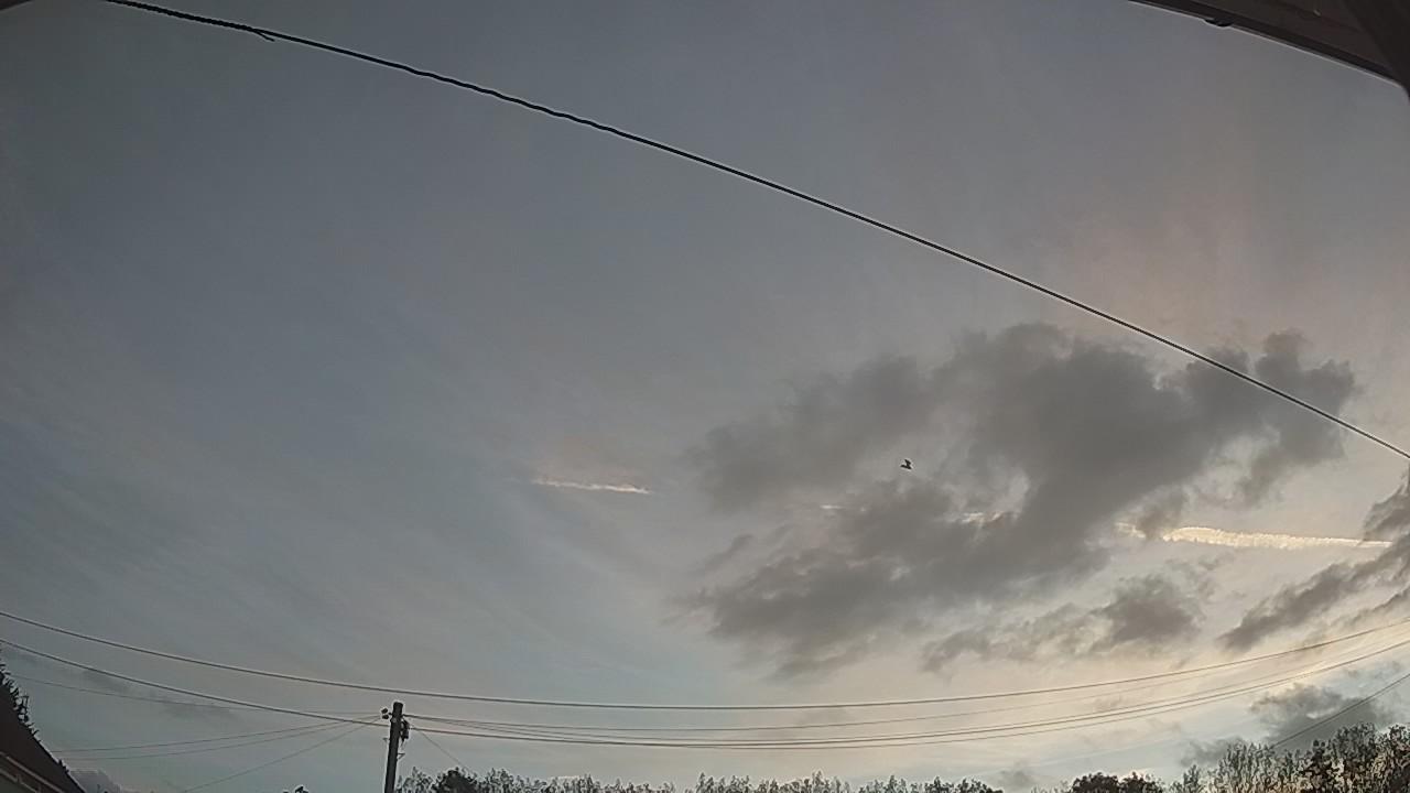 20260825_050049_cam2.jpg
