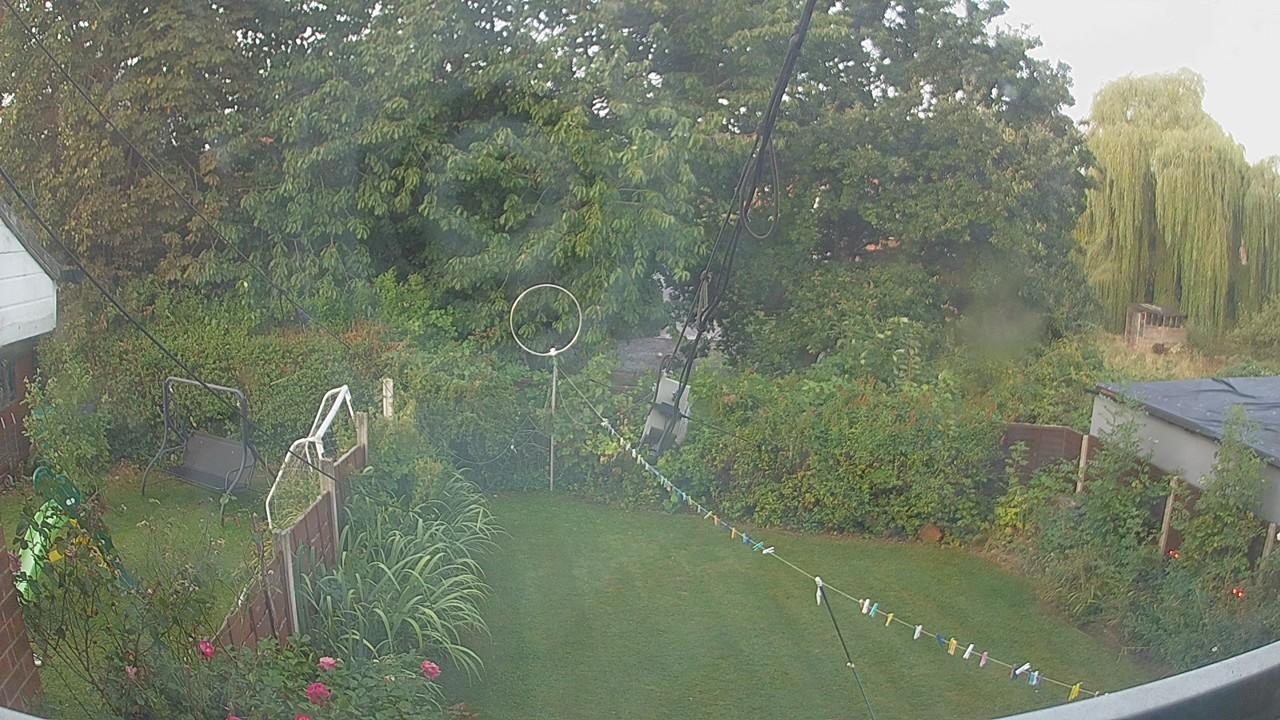 20260825_054217_cam1.jpg