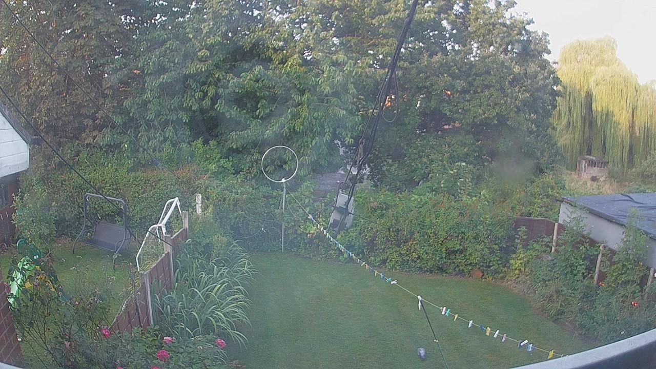 20260825_055035_cam1.jpg