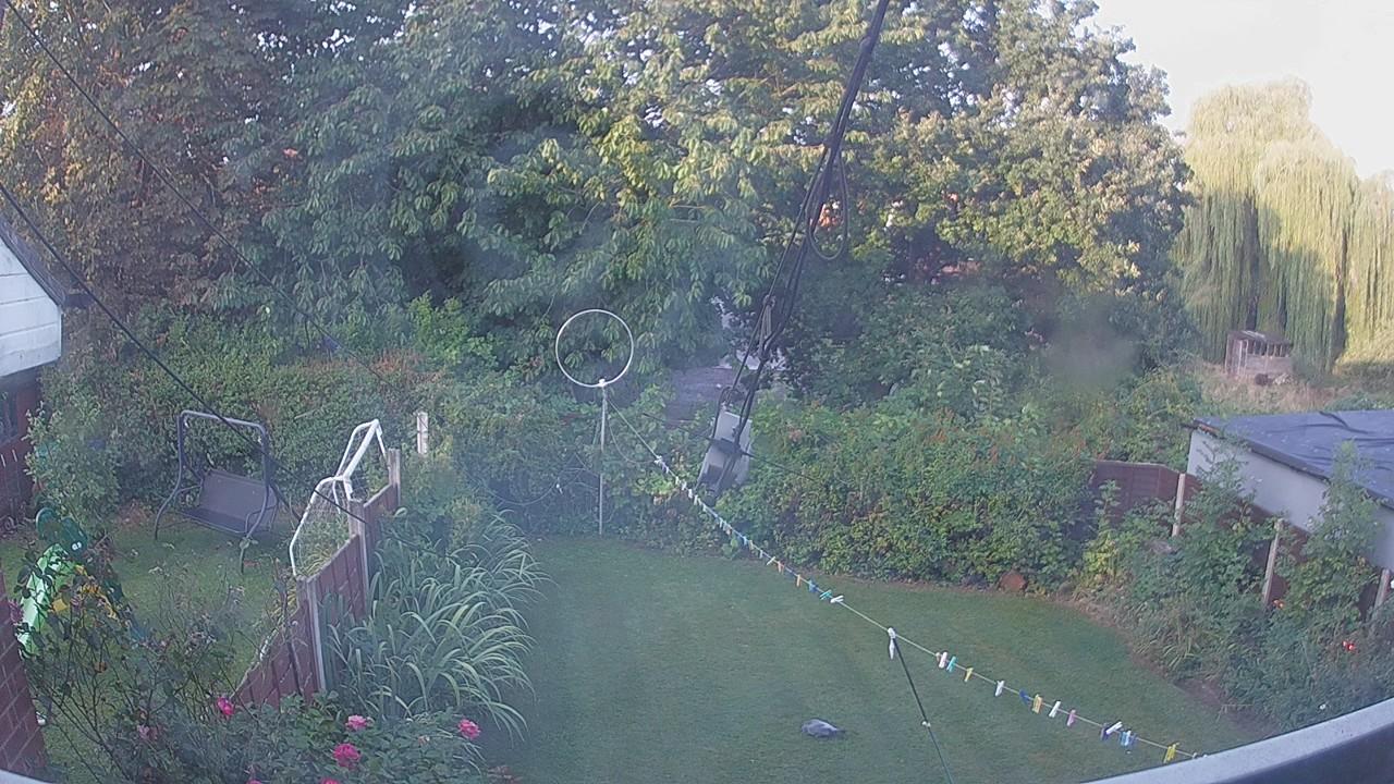 20260825_055854_cam1.jpg