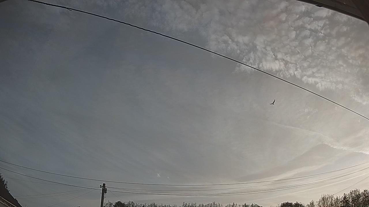 20260825_060712_cam2.jpg