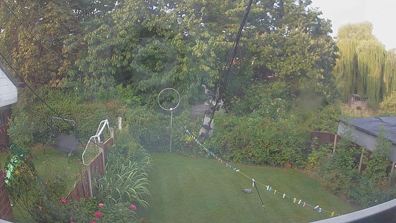 20260825_061120_cam1.jpg